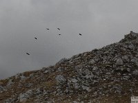 2026-09-20 Monte Bolza 177